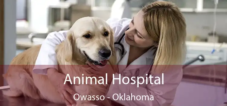 Animal Hospital Owasso - Oklahoma