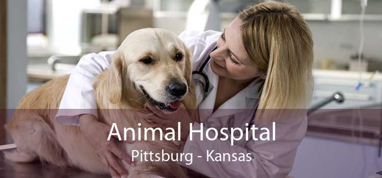 Animal Hospital Pittsburg - Kansas