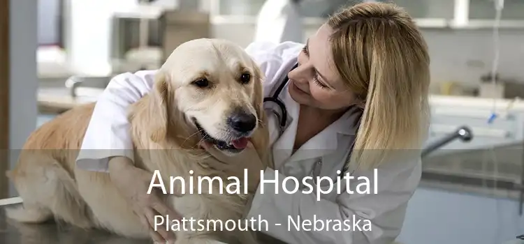 Animal Hospital Plattsmouth - Nebraska