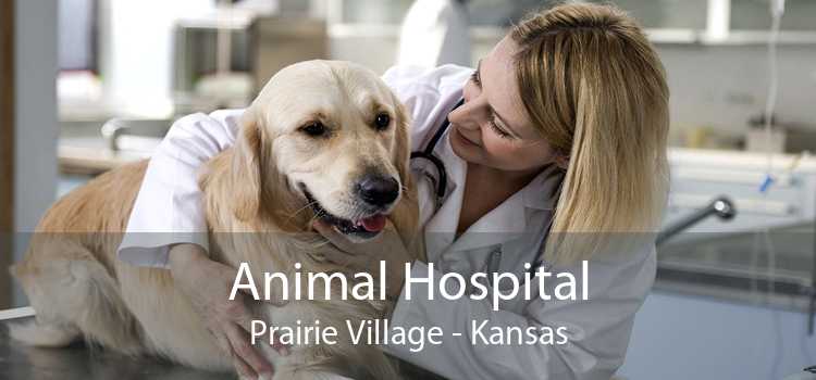 Animal Hospital Prairie Village - Kansas
