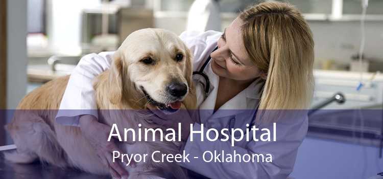 Animal Hospital Pryor Creek - Oklahoma