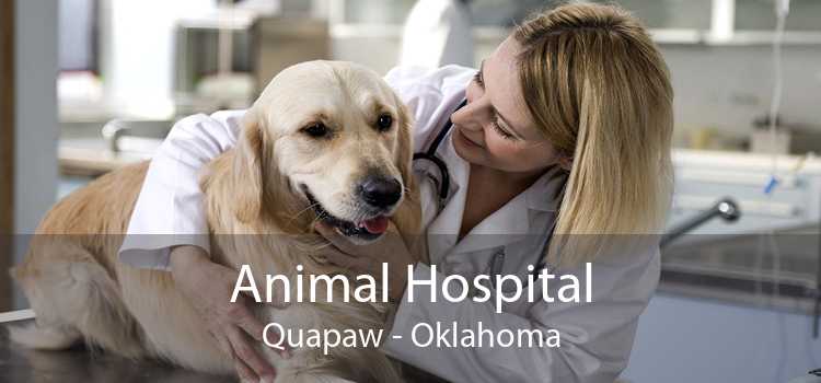 Animal Hospital Quapaw - Oklahoma