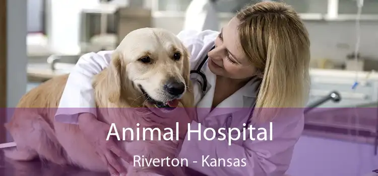 Animal Hospital Riverton - Kansas