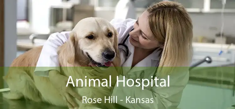 Animal Hospital Rose Hill - Kansas