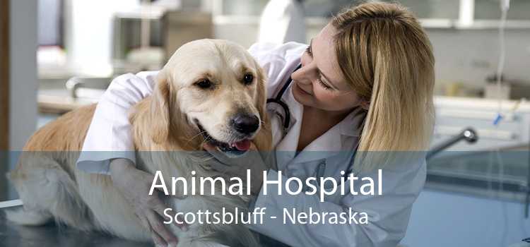 Animal Hospital Scottsbluff - Nebraska