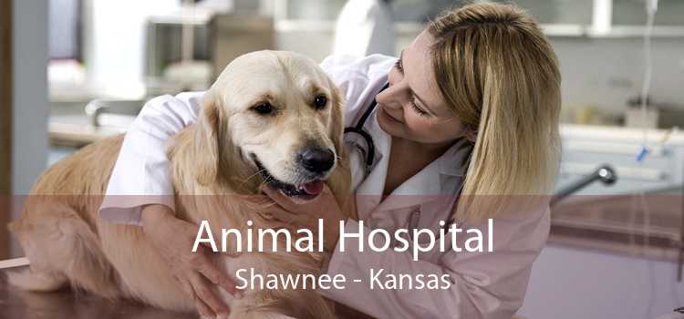 Animal Hospital Shawnee - Kansas