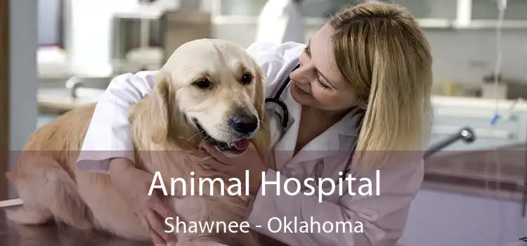 Animal Hospital Shawnee - Oklahoma