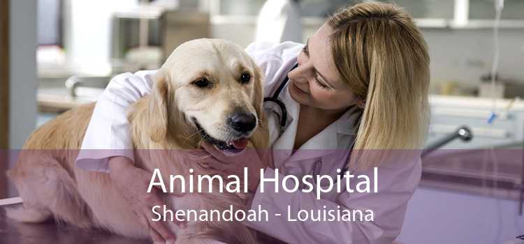 Animal Hospital Shenandoah - Louisiana