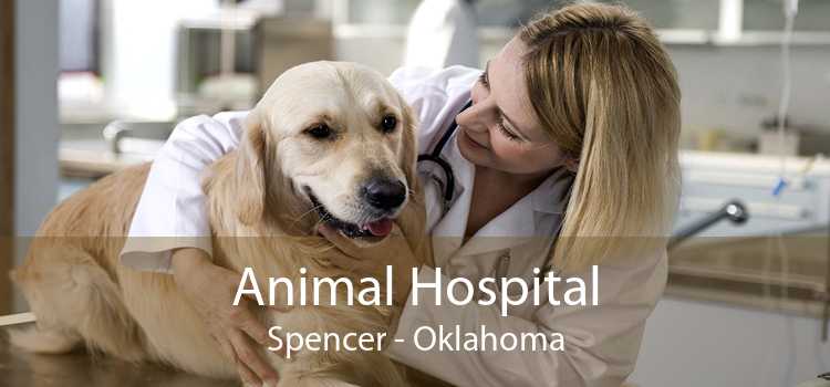 Animal Hospital Spencer - Oklahoma