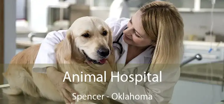 Animal Hospital Spencer - Oklahoma
