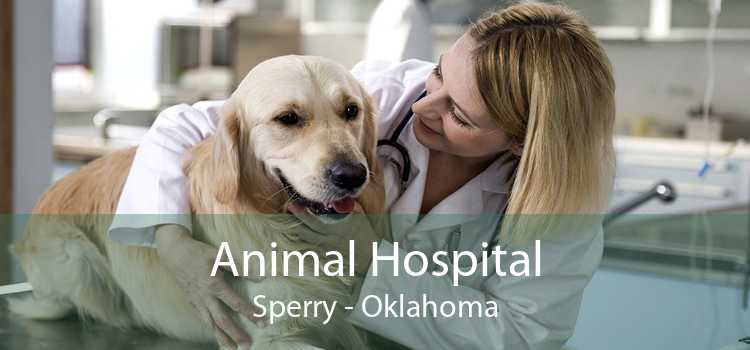 Animal Hospital Sperry - Oklahoma