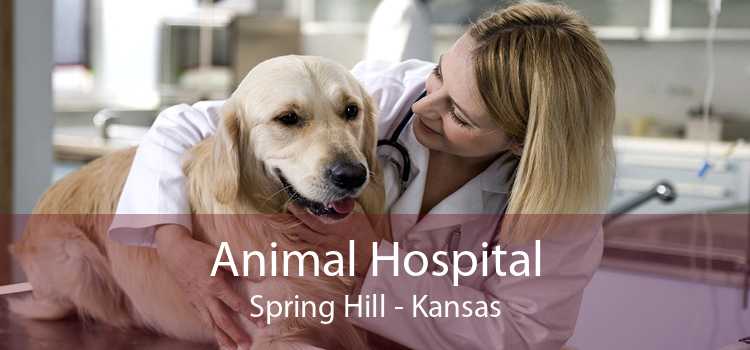 Animal Hospital Spring Hill - Kansas
