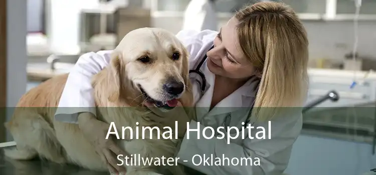 Animal Hospital Stillwater - Oklahoma