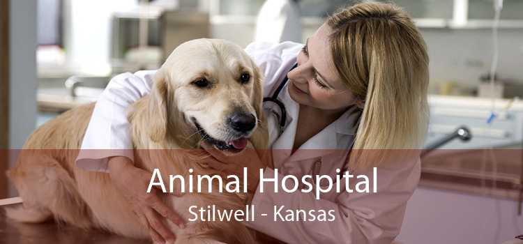 Animal Hospital Stilwell - Kansas