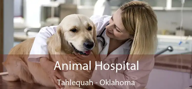 Animal Hospital Tahlequah - Oklahoma
