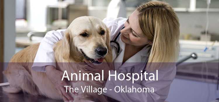 Animal Hospital The Village - Oklahoma