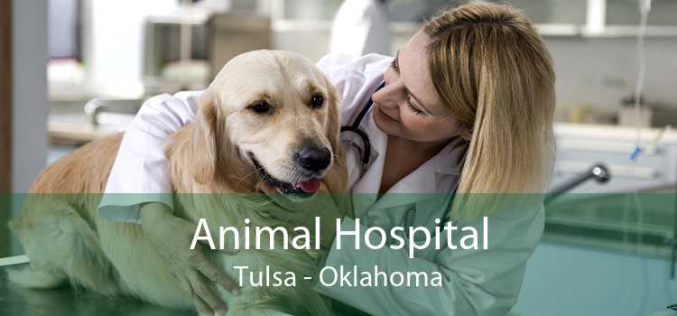 Animal Hospital Tulsa - Oklahoma