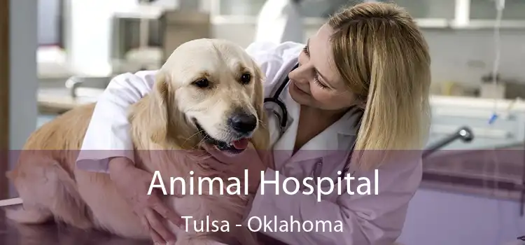 Animal Hospital Tulsa - Oklahoma