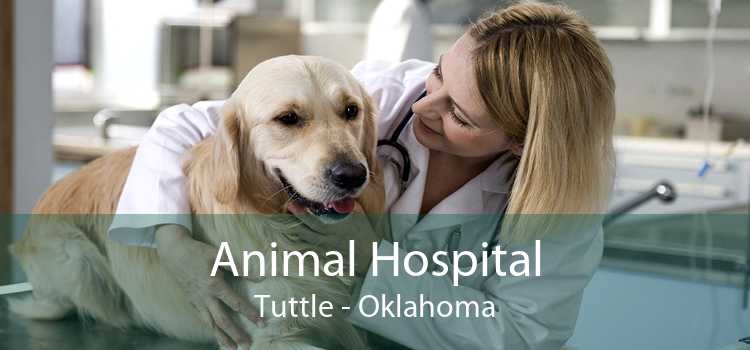 Animal Hospital Tuttle - Oklahoma