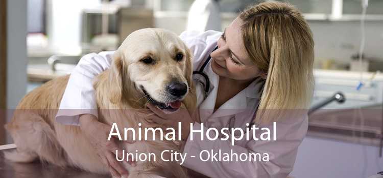Animal Hospital Union City - Oklahoma