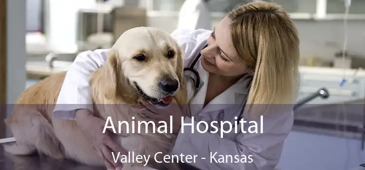 Animal Hospital Valley Center - Kansas