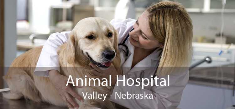Animal Hospital Valley - Nebraska