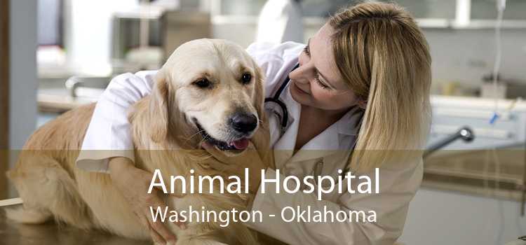 Animal Hospital Washington - Oklahoma
