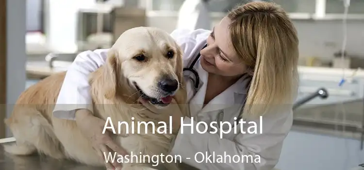 Animal Hospital Washington - Oklahoma