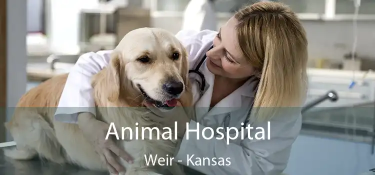 Animal Hospital Weir - Kansas