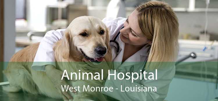 Animal Hospital West Monroe - Louisiana