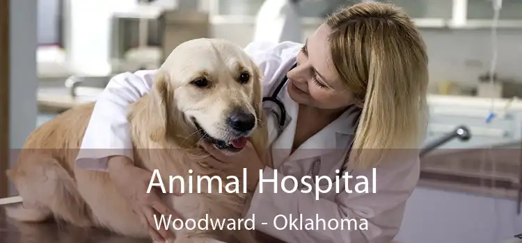 Animal Hospital Woodward - Oklahoma