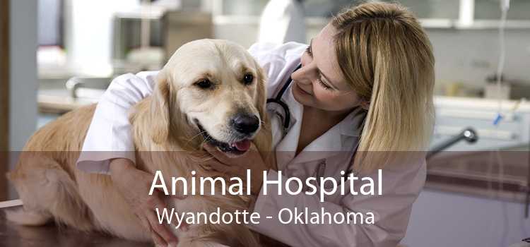 Animal Hospital Wyandotte - Oklahoma