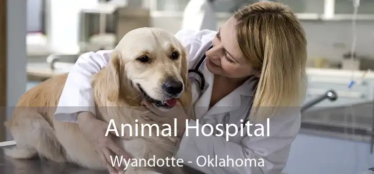 Animal Hospital Wyandotte - Oklahoma