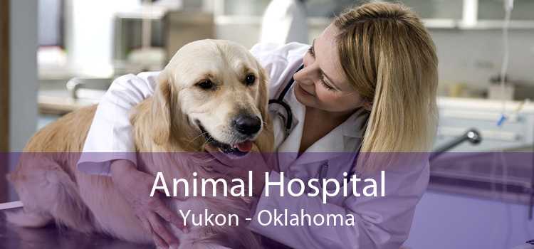 Animal Hospital Yukon - Oklahoma