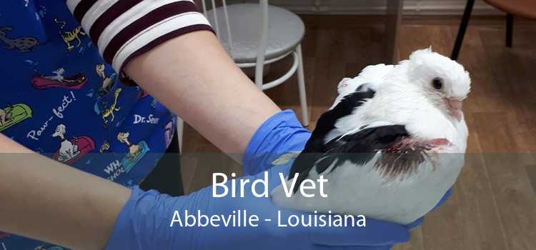 Bird Vet Abbeville - Louisiana