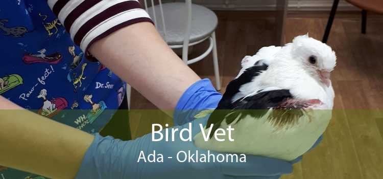Bird Vet Ada - Oklahoma