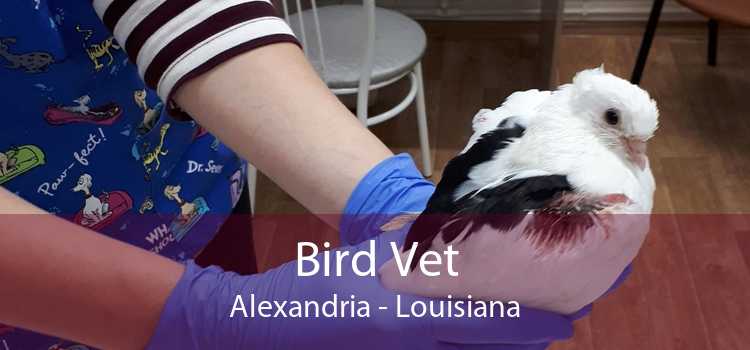Bird Vet Alexandria - Louisiana