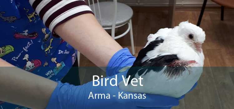 Bird Vet Arma - Kansas