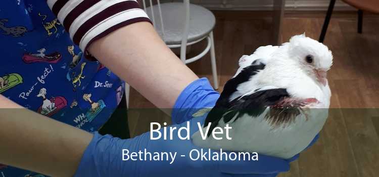 Bird Vet Bethany - Oklahoma