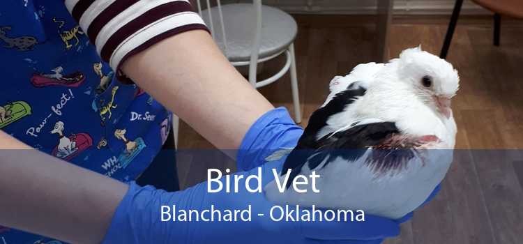 Bird Vet Blanchard - Oklahoma