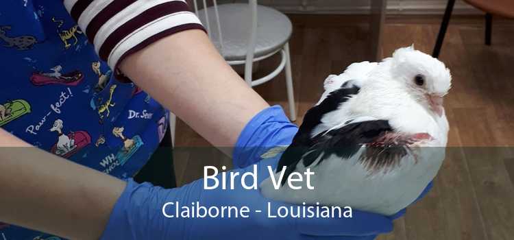 Bird Vet Claiborne - Louisiana