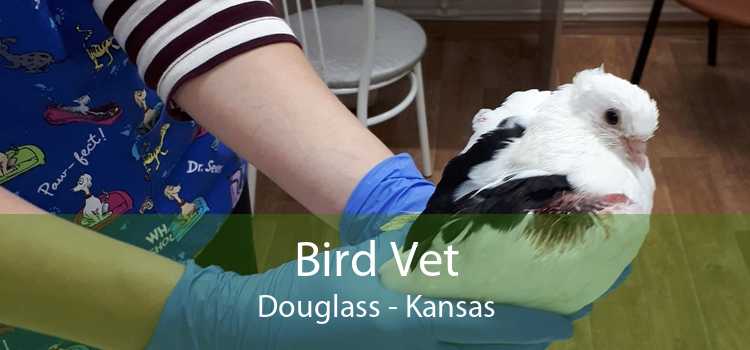Bird Vet Douglass - Kansas