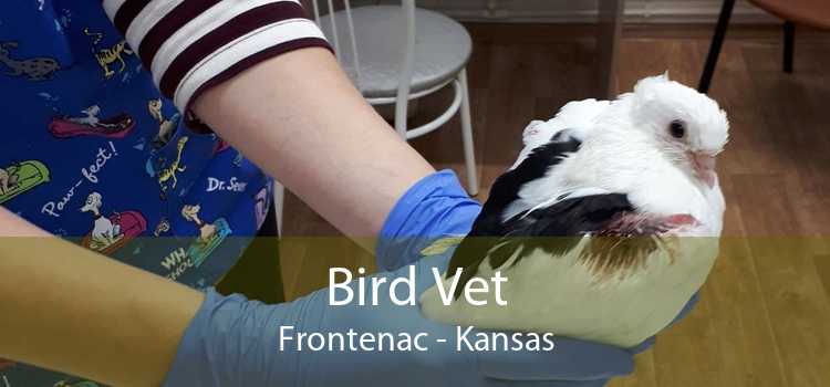 Bird Vet Frontenac - Kansas