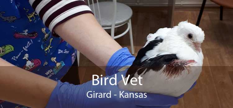 Bird Vet Girard - Kansas