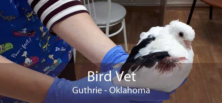 Bird Vet Guthrie - Oklahoma