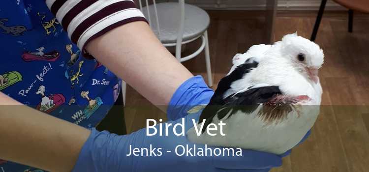 Bird Vet Jenks - Oklahoma