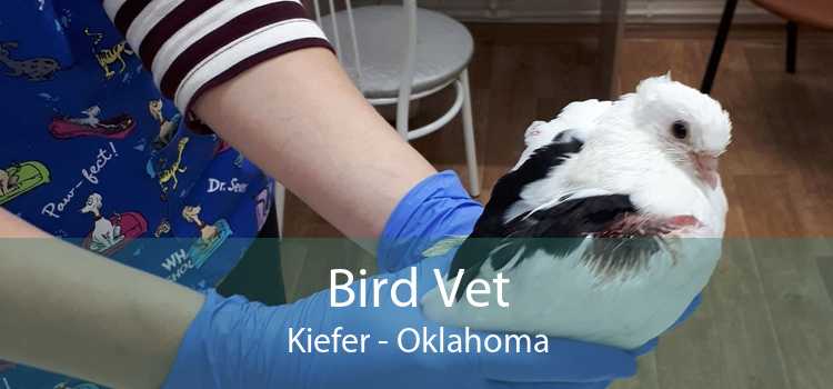 Bird Vet Kiefer - Oklahoma