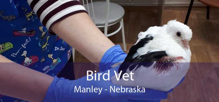 Bird Vet Manley - Nebraska