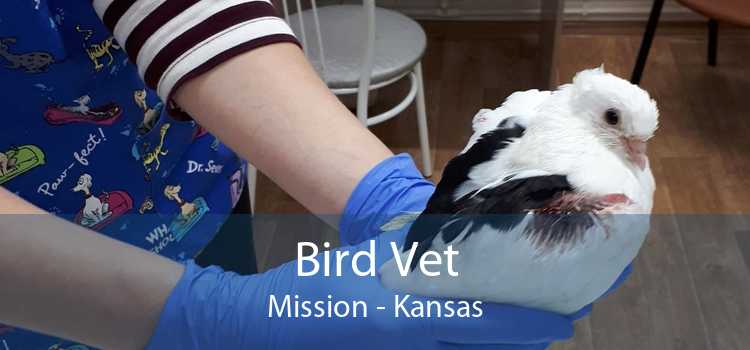 Bird Vet Mission - Kansas