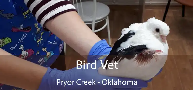 Bird Vet Pryor Creek - Oklahoma